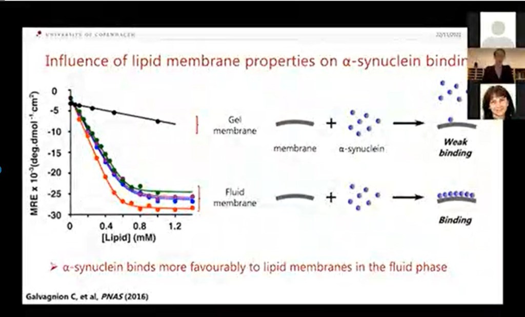 Molecular Basis of Proteinopathies&nbsp;ZOOMinar